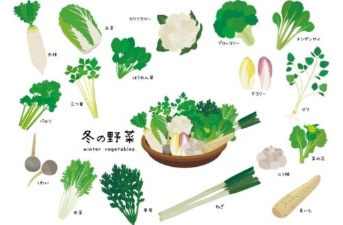 冬の野菜